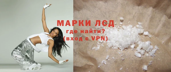 сатива Елабуга