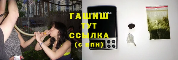сатива Елабуга