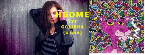 сатива Елабуга