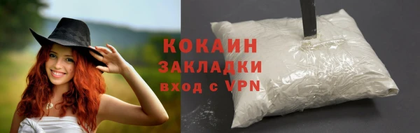 сатива Елабуга