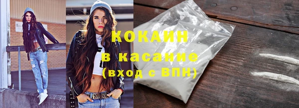 сатива Елабуга